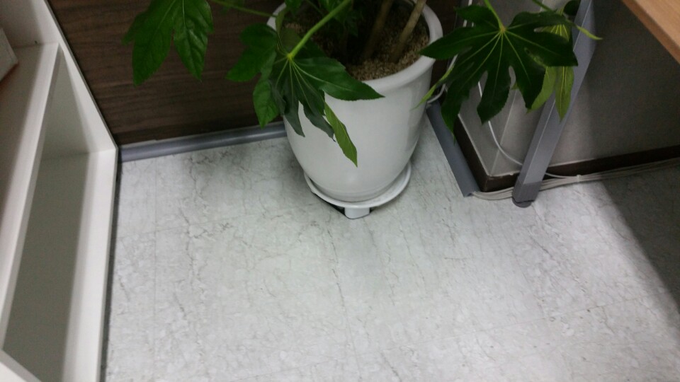 울산 달동 랜선추가공사