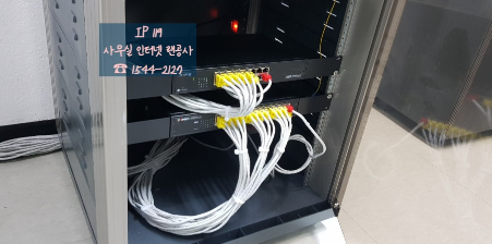 서울 금천구 가산동 네트워크 점검 후기