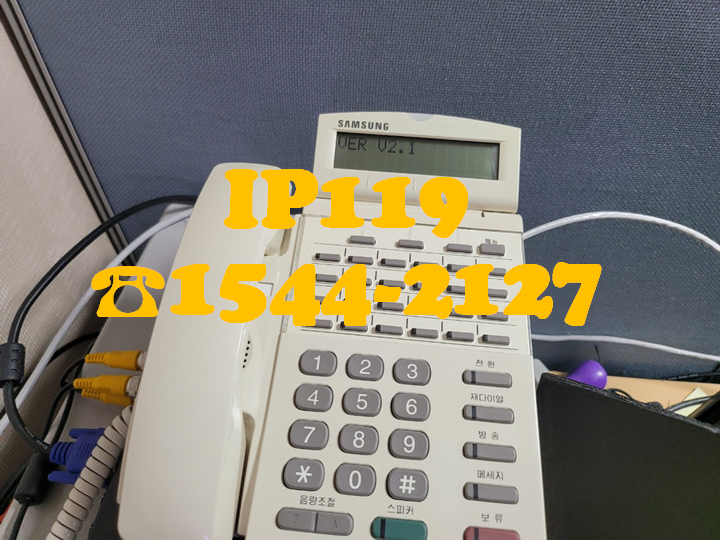랜공사뿐만 아니라 키폰교체도 가능한 IP119