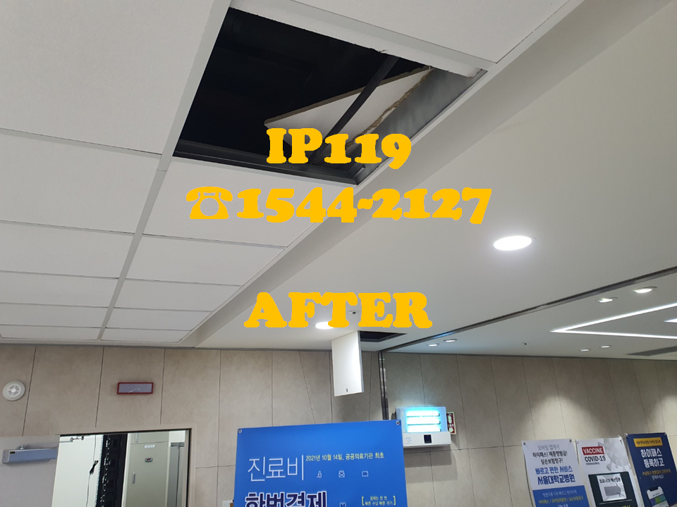 키오스크 천장 랜선공사 과정